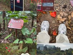 -华侨城湿地公园