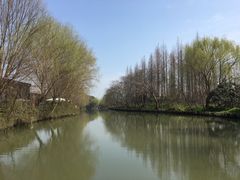 -同里国家湿地公园