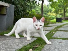 -东华大学(松江校区)