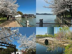 -无锡蠡湖国家湿地公园-蠡园