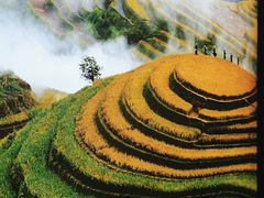 -湘邻呷铺·田园家宴(汉基广场店)