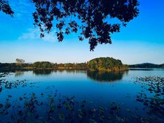 -上海市保健医疗中心