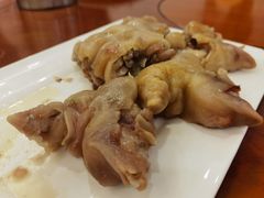-丁老爷子苏香圆