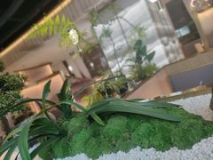 -马家斑.鲜鱼火锅(松湖万科店)