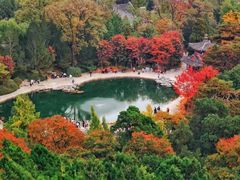 -香山公园