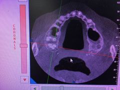 -上海中医药大学附属曙光医院(东部)