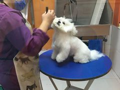 -惠康宠物医院(华能路店)