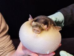 -永安鱼庄·镇江菜(东吴路店)