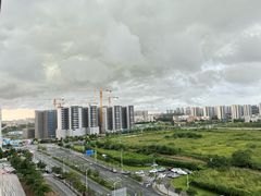 -广东花都湖国家湿地公园