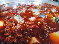 -黑竹香鸡(营和巷店)