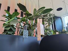 -渔芙南(三里屯店)