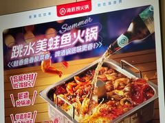 跳水美蛙鱼火锅-海底捞火锅(高科东路店)