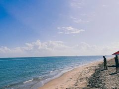 -海口绿发希尔顿酒店-田园汇自助餐·三文鱼·海鲜