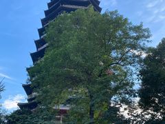 -红梅公园