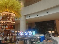 -Plush大堂酒廊(北京金融街威斯汀大酒店)