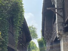 -乌镇西栅景区
