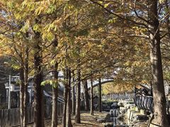 -白水寺森林公园