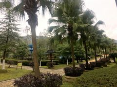 -明月山天沐温泉度假村