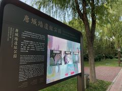 -唐城墙遗址公园