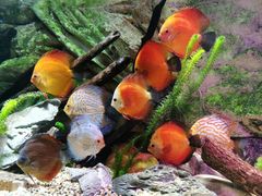 -上海海洋水族馆