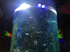 -泉城欧乐堡海洋极地世界