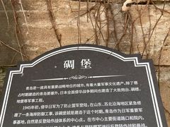 -青岛德国总督楼旧址博物馆