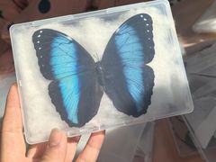 -老昌春饼(松北店)