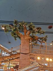 -卡通尼·Safari非洲探索乐园·生日会(金桥国际商业广场店)