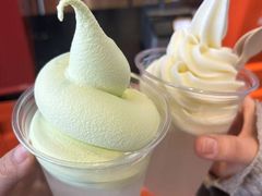 -萨朗刀克冰淇淋雪花凉(植物园店)