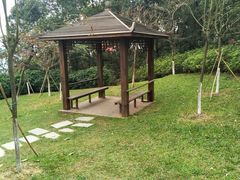 -火炉山森林公园