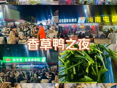 -盐禾堂海南屯昌香草鸭(海润路总店)