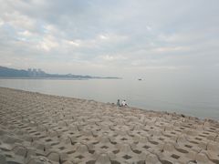 -野狸岛