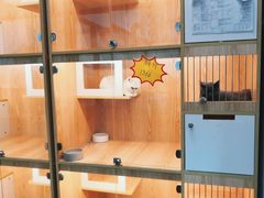 -小呆的宠物店·宠物售卖·宠物寄养(城西店)