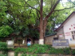门面-马王堆汉墓遗址