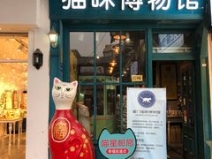-猫咪博物馆(顶澳仔猫街店)