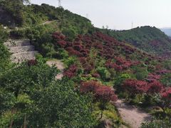 -四明山国家森林公园