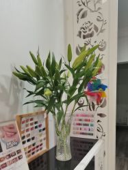 -贝爱妈咪科技美容产后修复(大悦城店)