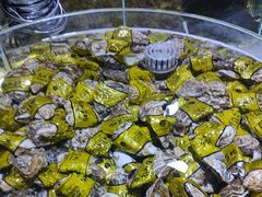 -聚盛源蒸汽海鲜火锅烤肉自助(巨川金海岸购物广场店)