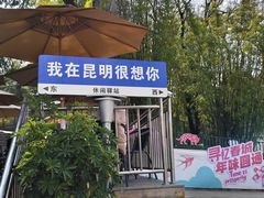 -昆明动物园