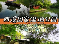 -西溪国家湿地公园