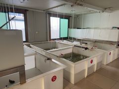 -七的湖·江南蟹舫·阳澄湖农家菜(蟹舫苑店)