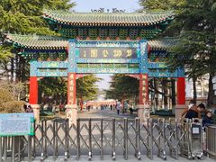 -莱西月湖公园