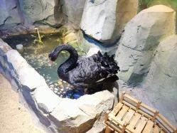 -酷嗒动物文化乐园(cutezoo西溪乐天城店)