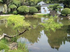 -郑州中国绿化博览园