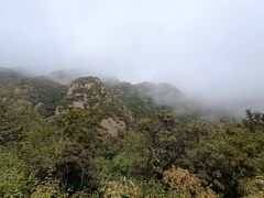 -大岭沟猕猴桃谷风景区