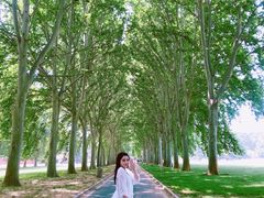 -河南省黄河迎宾馆