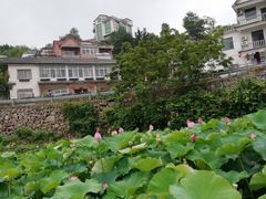 -太湖源风景区