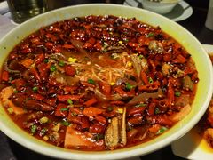 毛血旺-陈麻婆豆腐总店