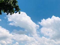 -深圳湾公园(南山区)
