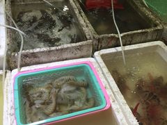 -外伶仃岛海鲜市场